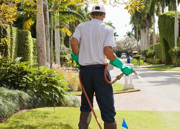 About Grant FL Pest Control